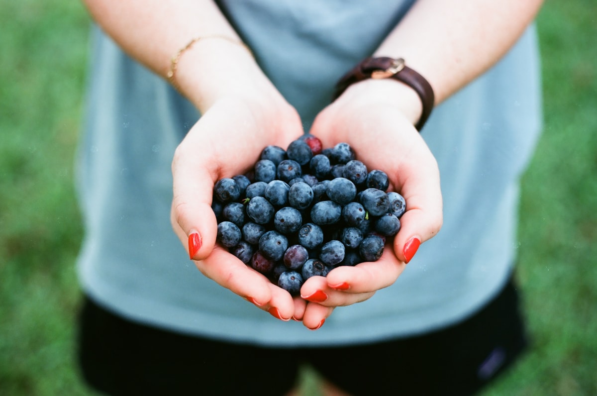 Antioxidánsok az agyi védelemért